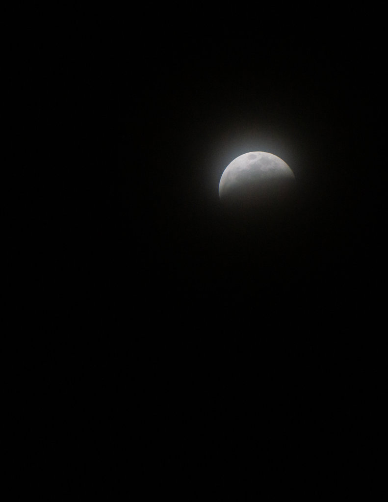 LunarEclipse-Jan2019-02872.jpg