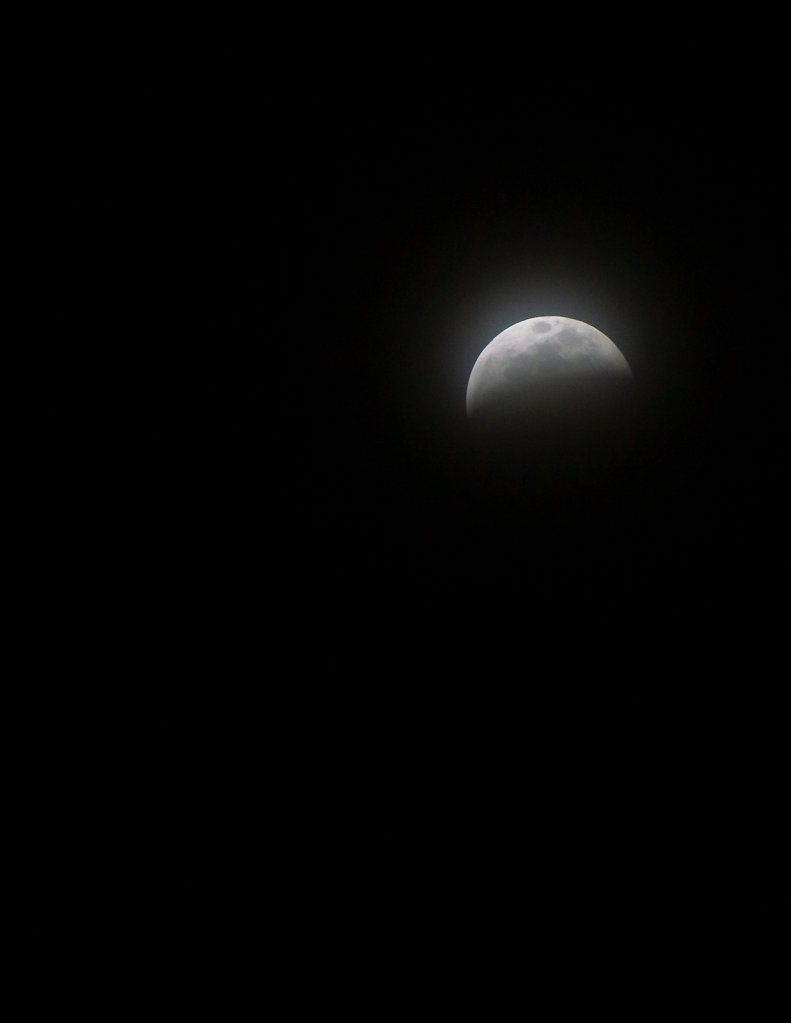 LunarEclipse-Jan2019-02874.jpg